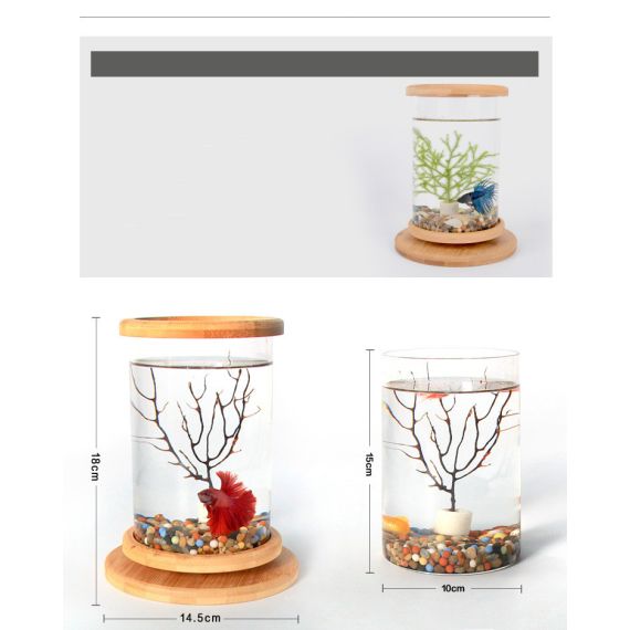 Small Office Mini Aquarium Tank
