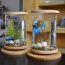 Small Glass Aquarium Decoration